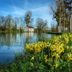 printemps Canal de Bourgogne entre Pouillenay et Venarey les Laumes