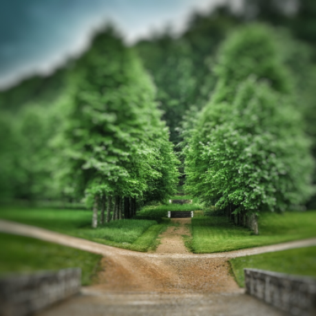 à la croisée des chemins dans le parc du château de Bussy-Rabutin Bourgogne